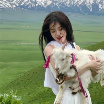山丹丹花儿开